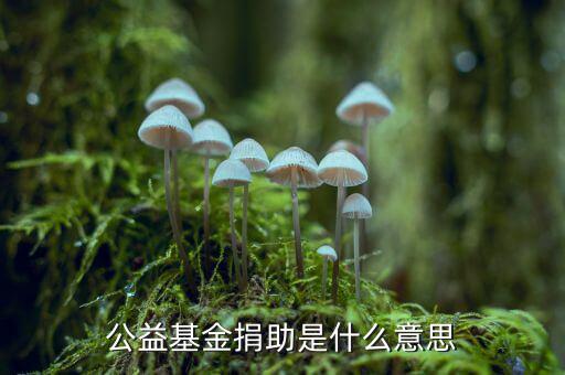 公益金是什么意思，公益基金捐助是什么意思