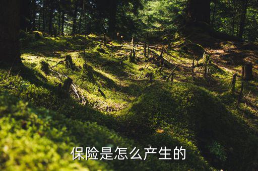 保險(xiǎn)的原理是什么，保險(xiǎn)是怎么產(chǎn)生的