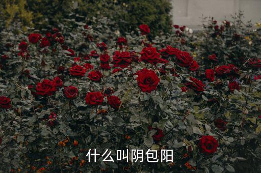 什么叫陽(yáng)包陰，K線(xiàn)里收陽(yáng)包陰或陰包陽(yáng)指的是實(shí)體還是影線(xiàn)也算上