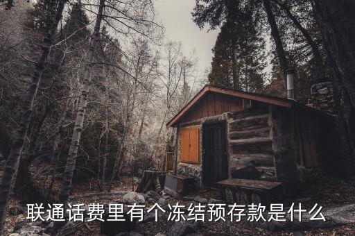 凍結(jié)預(yù)存款是什么意思，聯(lián)通話費(fèi)里有個(gè)凍結(jié)預(yù)存款是什么
