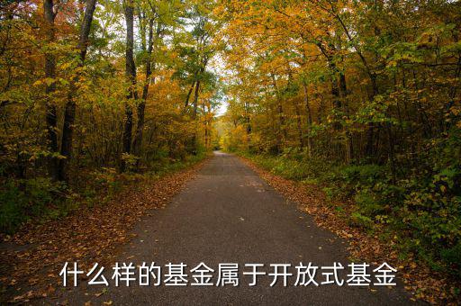 開放式基金是什么，什么叫做開放式基金
