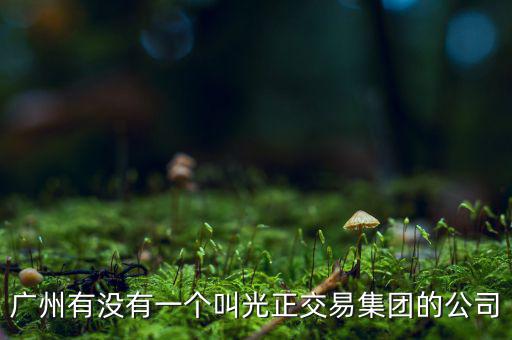 光正集團(tuán)股票公司主要生產(chǎn)什么，光正集團(tuán)股票是做什么板塊的