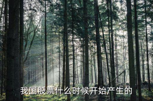 股票什么時(shí)候出來(lái)的，股票是什么時(shí)候出現(xiàn)的從世界范圍看