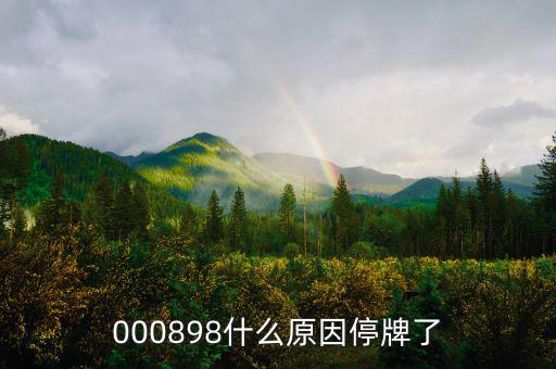 華資實業(yè)為什么停牌，000009今天為何停牌