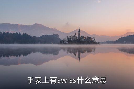 歐行手表什么意思，手表上有swiss什么意思