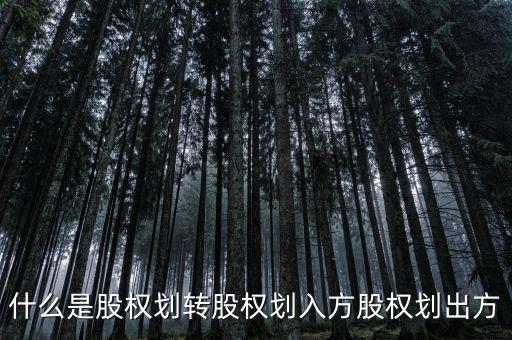 劃轉(zhuǎn)是什么意思，什么是股權(quán)劃轉(zhuǎn)股權(quán)劃入方股權(quán)劃出方