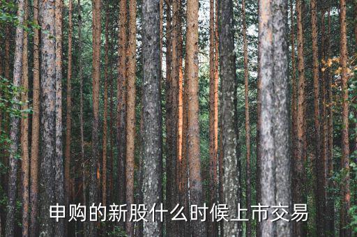 一般新股價(jià)什么時(shí)候出來，申購的新股什么時(shí)候上市交易