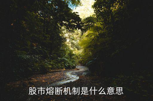 熔斷機(jī)制是什么意思，熔斷機(jī)制怎么理解啊