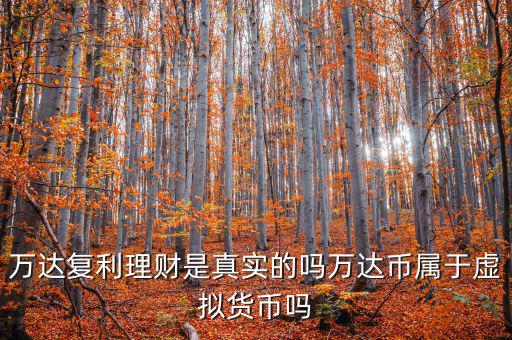 萬達貨幣是什么，萬達復利理財是真實的嗎萬達幣屬于虛擬貨幣嗎