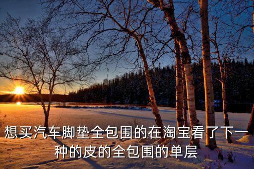 想買(mǎi)汽車(chē)腳墊全包圍的在淘寶看了下一種的皮的全包圍的單層