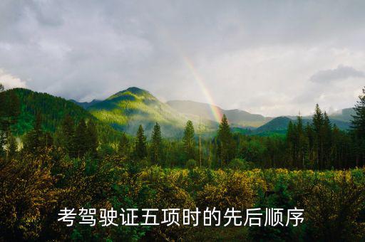 學駕駛五項進度什么安排的，考駕駛證五項時的先后順序