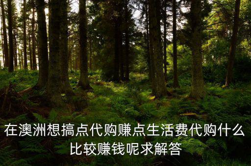 國(guó)外代購(gòu)什么利潤(rùn)大，代購(gòu)什么產(chǎn)品最賺錢(qián)
