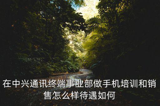 在中興通訊終端事業(yè)部做手機培訓(xùn)和銷售怎么樣待遇如何