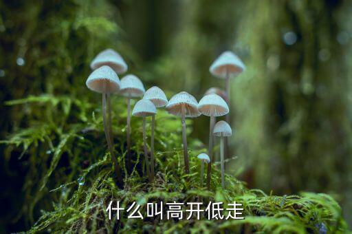 高開低走什么意思，低開高走什么意思