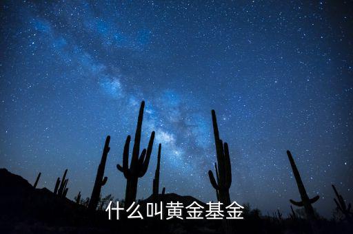 基金類型黃金型是什么意思，基金類型是黃金型所謂的黃金型是什么意思