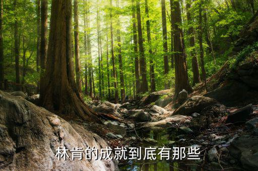 林肯的業(yè)績有什么，華盛頓林肯共同歷史功績