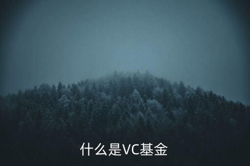 vc基金是什么，什么叫VC基金