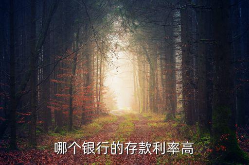 錢存什么銀行利息高，哪個(gè)銀行的存款利率高