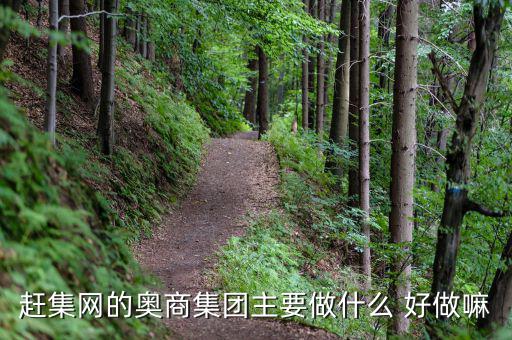 奧骨集團(tuán)是做什么的，趕集網(wǎng)的奧商集團(tuán)主要做什么 好做嘛