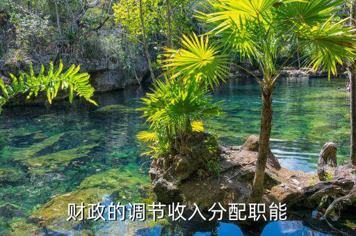 財(cái)政分配包括什么，向高手請(qǐng)教財(cái)政再分配都包括什么