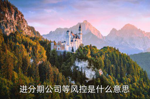 好期貸風(fēng)控審核是什么，進(jìn)分期公司等風(fēng)控是什么意思