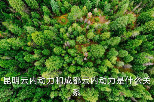 云南云內(nèi)動力是什么性質(zhì)，什么是云內(nèi)發(fā)動機(jī)