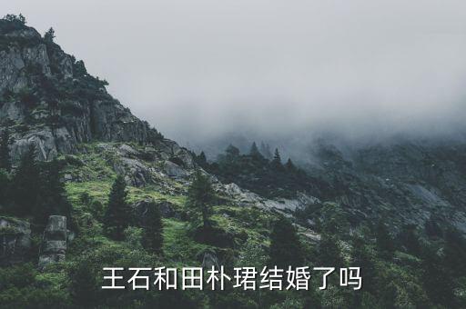 田樸B和王石什么時候認(rèn)識的，田樸珺是如何俘獲王石的我看她并不十分漂亮啊