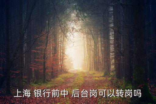 銀行前臺怎么轉(zhuǎn)后臺,銀行分為中央銀行和政策銀行、商業(yè)銀行等