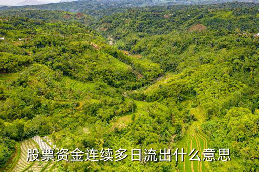 為什么一支股票連續(xù)幾月大單流出，股票資金連續(xù)多日流出什么意思