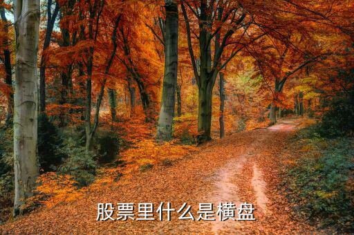 橫盤調(diào)整什么意思，股民們說的建倉(cāng)橫盤是什么意思