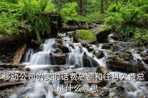 移動賬單總額什么意思，移動公司的帳單總額與實時話費區(qū)別