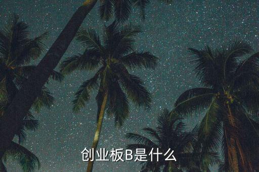 創(chuàng)業(yè)板b杠桿是什么，創(chuàng)業(yè)板B是什么