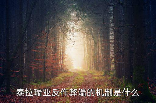 什么是反舞弊機(jī)制，google廣告聯(lián)盟反作弊系統(tǒng)原理嗎