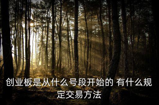 創(chuàng)業(yè)板什么開(kāi)頭，創(chuàng)業(yè)板代碼什么數(shù)字開(kāi)頭