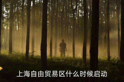 上海自貿(mào)區(qū)什么時(shí)候開放，上海自由貿(mào)易區(qū)什么時(shí)候啟動(dòng)