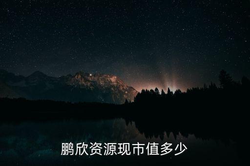 鵬欣資源是什么公司，鵬欣資源現(xiàn)市值多少