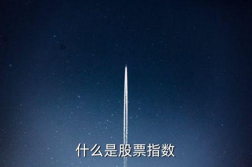 股市的指數指什么，在股票中什么是指數