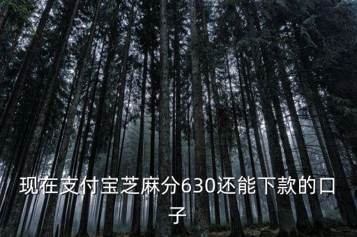 支付寶口子是什么意思，支付寶口子是什么意思
