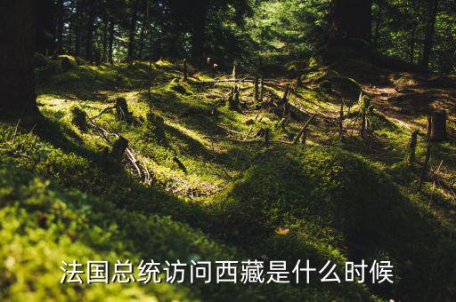 默克爾什么時間訪華，法國總統(tǒng)訪問西藏是什么時候