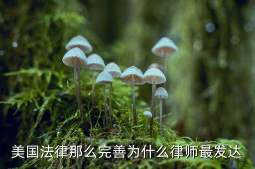 為什么美國(guó)賠償那么高，美國(guó)人為什么那么高