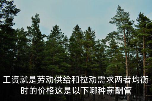 市場(chǎng)決定論是什么，什么是市場(chǎng)決策
