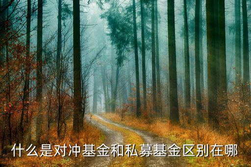 對沖基金是什么，對沖基金操作手法是什么有哪些原理