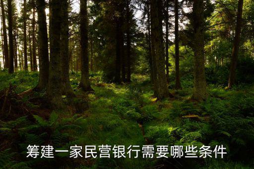 設(shè)立支行需要什么條件，想注冊(cè)個(gè)金融服務(wù)公司不知道都需要什么條件和手續(xù)
