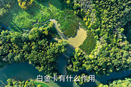 興業(yè)白金卡有什么好處，白金卡有什么作用