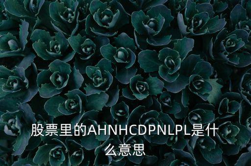 股票nl是什么意思，股票里的AHNHCDPNLPL是什么意思