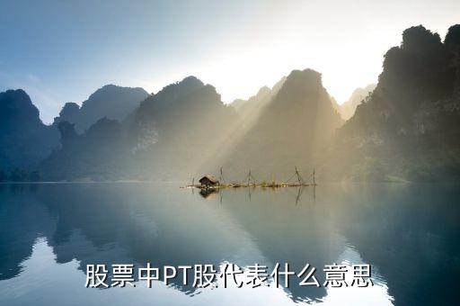 股票pt是什么意思，股票名前的ST或PT是什么意思
