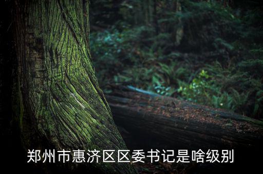 王洪章是什么級別，武警江西省總隊司令是什么級別