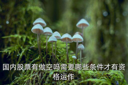 什么股票才可以做空，同花順里面有沒有可以做空的股票