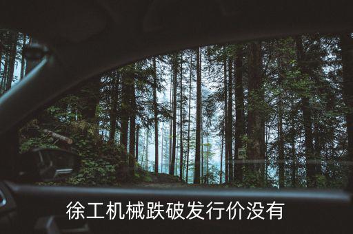 徐工機(jī)械什么時(shí)候復(fù)權(quán)，徐工機(jī)械何時(shí)復(fù)牌