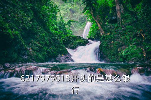 6217979015開(kāi)頭的是甚么銀行